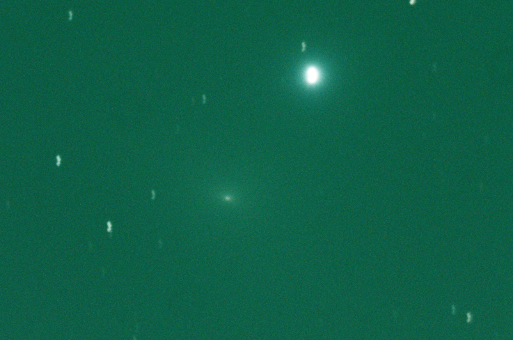 Comet41P.gif