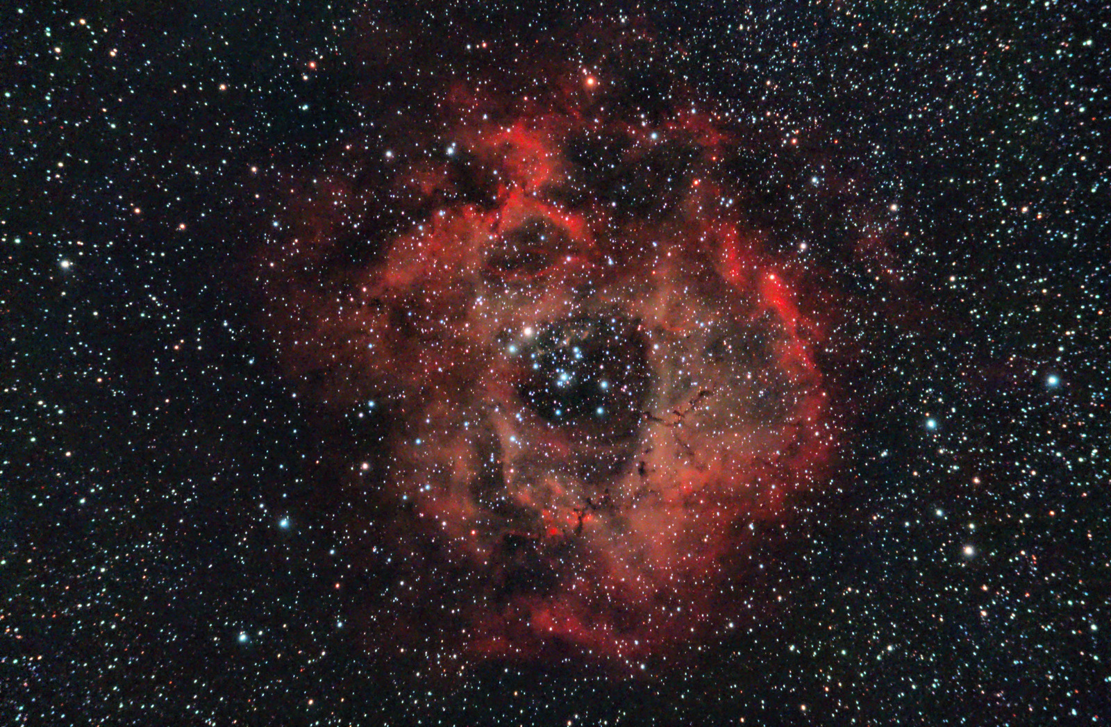 NGC 2244, The Rosette nebula.