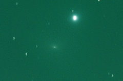 Comet41P.gif