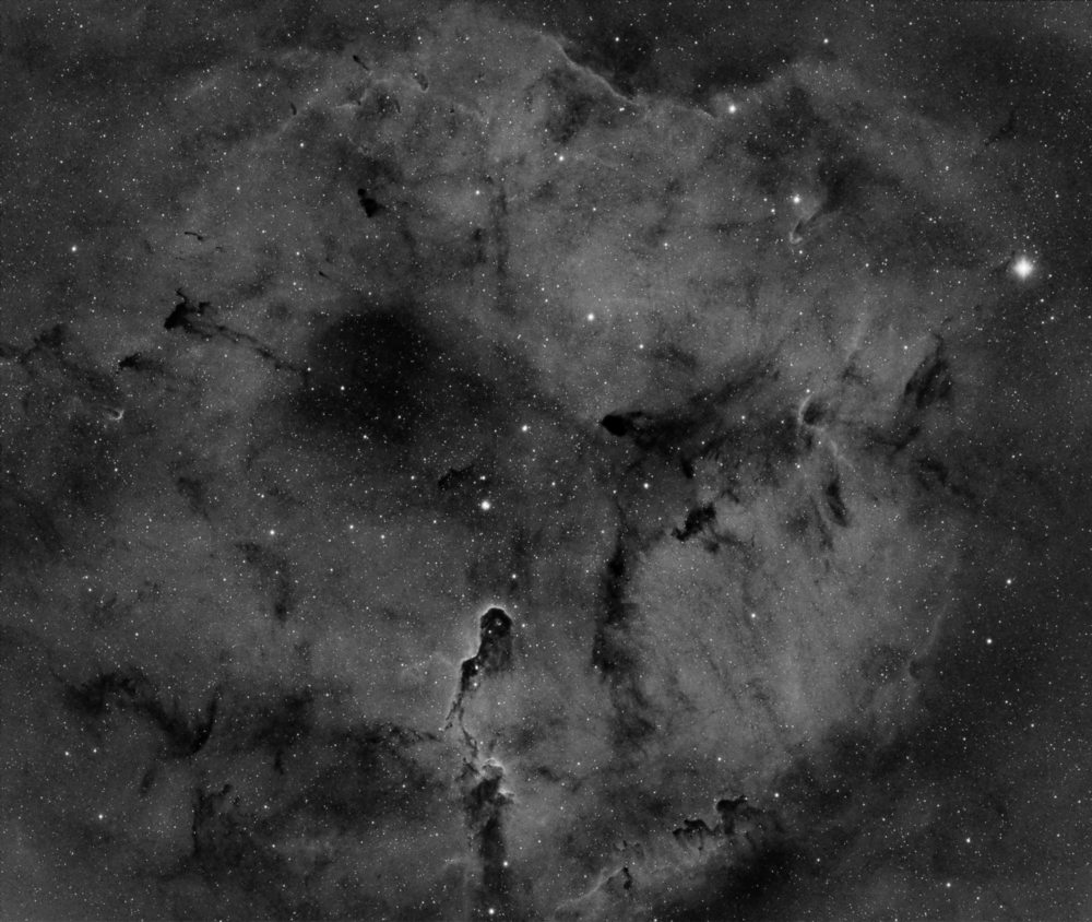 Elephant Trunk Nebula April 2017 Ha.jpg