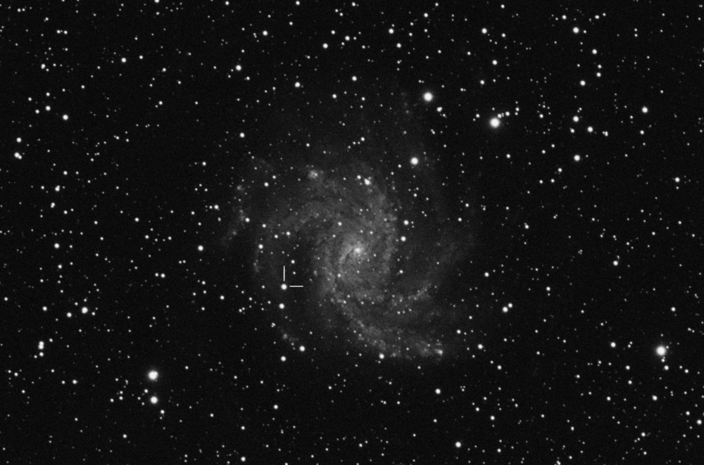 NGC6946 Fireworks Galaxy SN 2017eaw crop.jpg