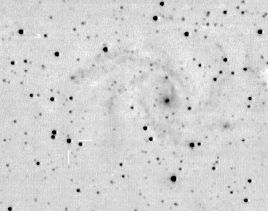 sn2004et_NGC6946_30sep04_29x15sec_neg_annot.jpg