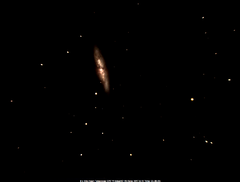 M82 Bode's Nebula.png