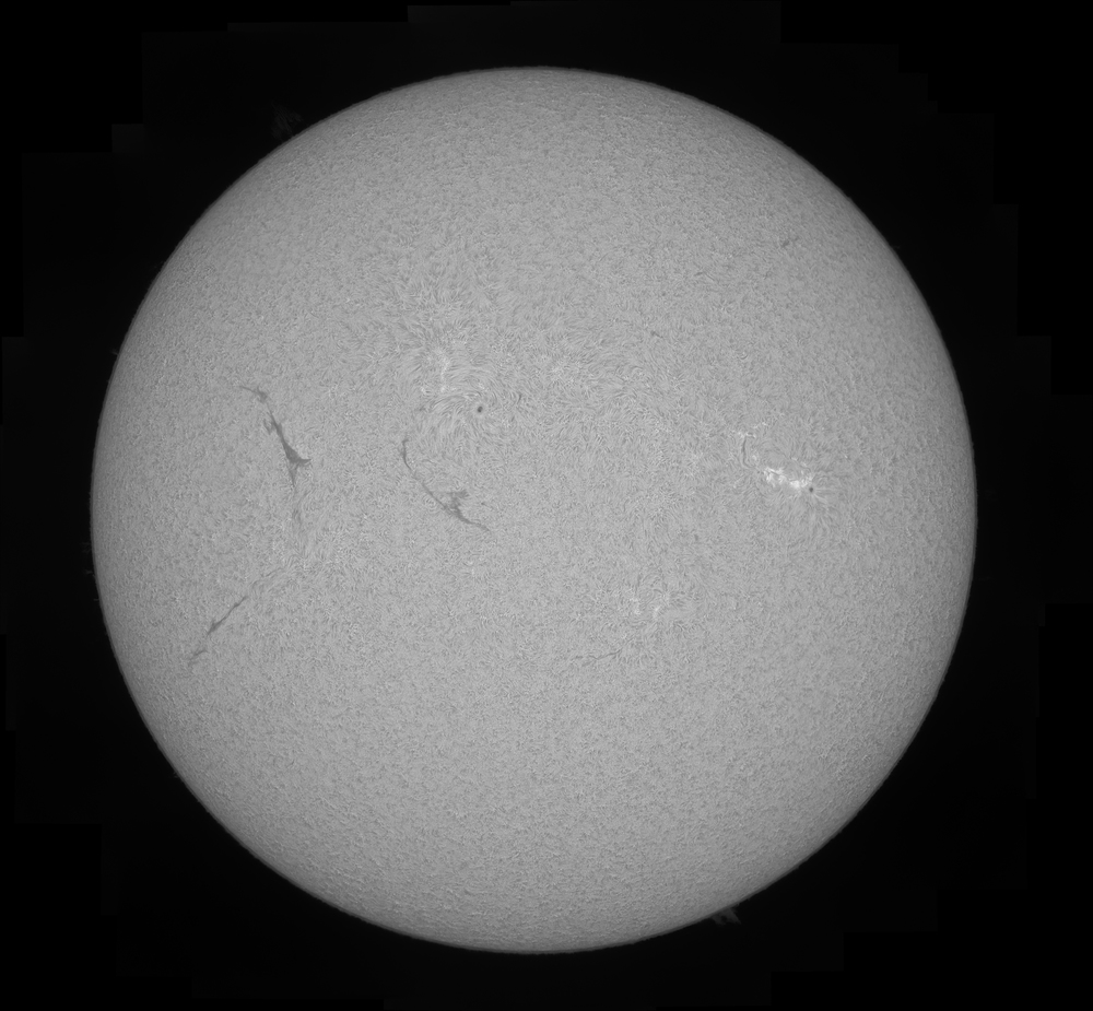 sun18062017mosaic.thumb.jpg.637b87ce7af05ebf158c3ccaeeed51be.jpg
