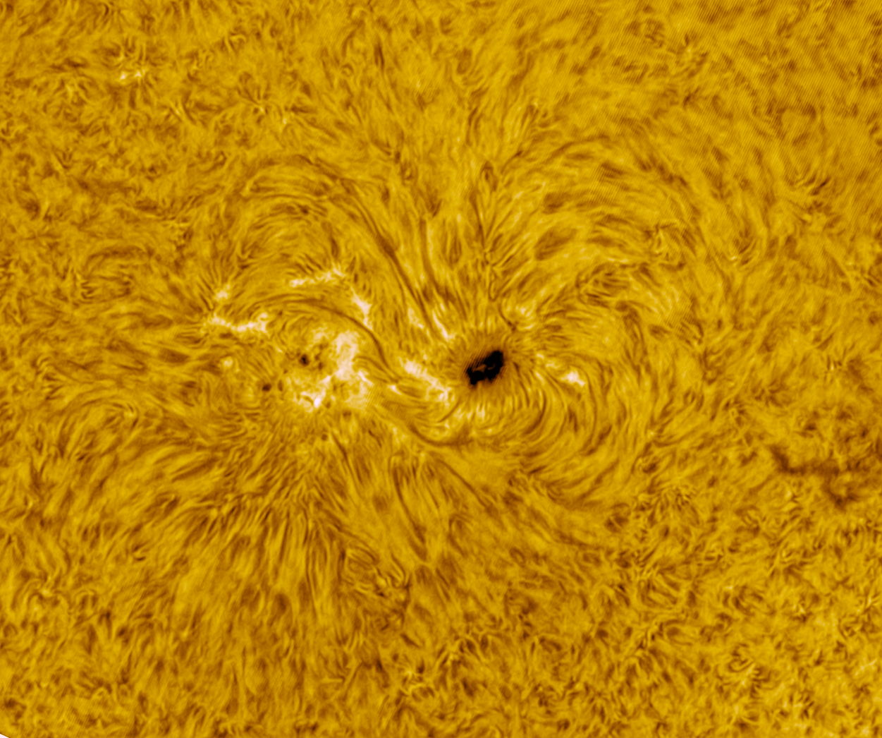 AR2665 COL 12-7-17 .png