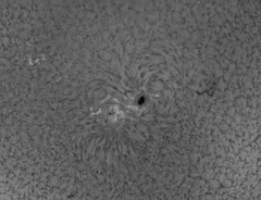 AR2665 12-7-17.png
