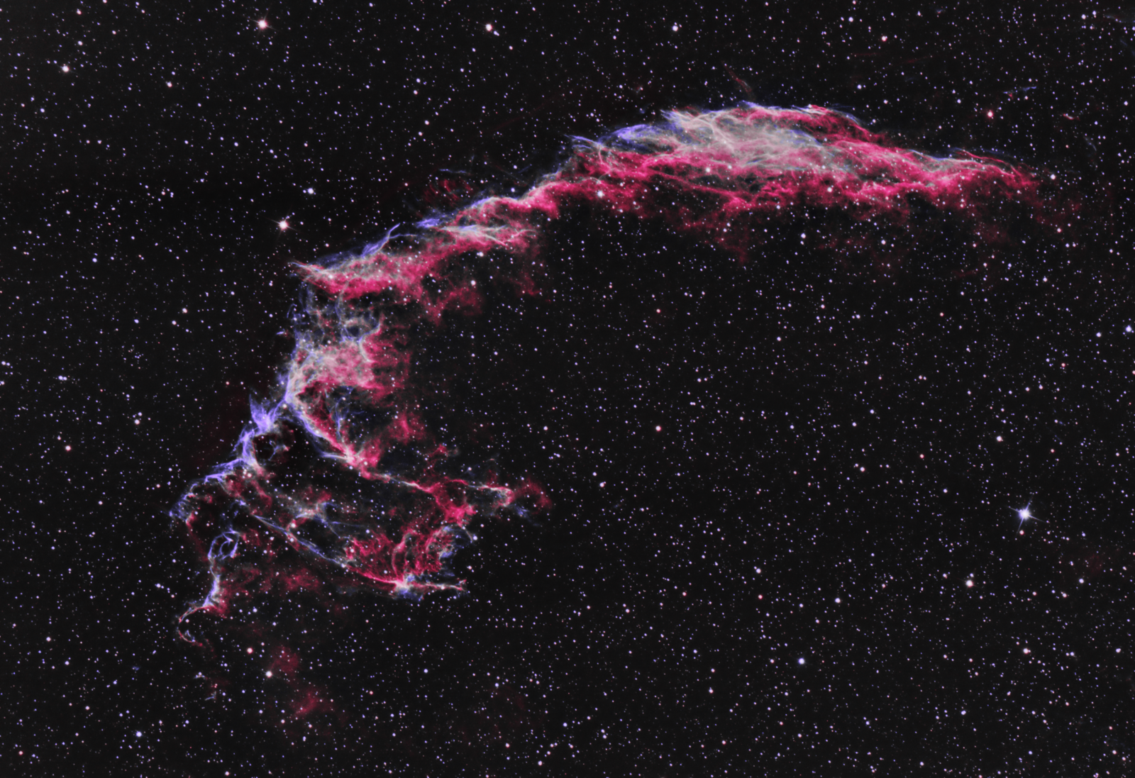 NGC 6995 The Eastern Veil Nebula