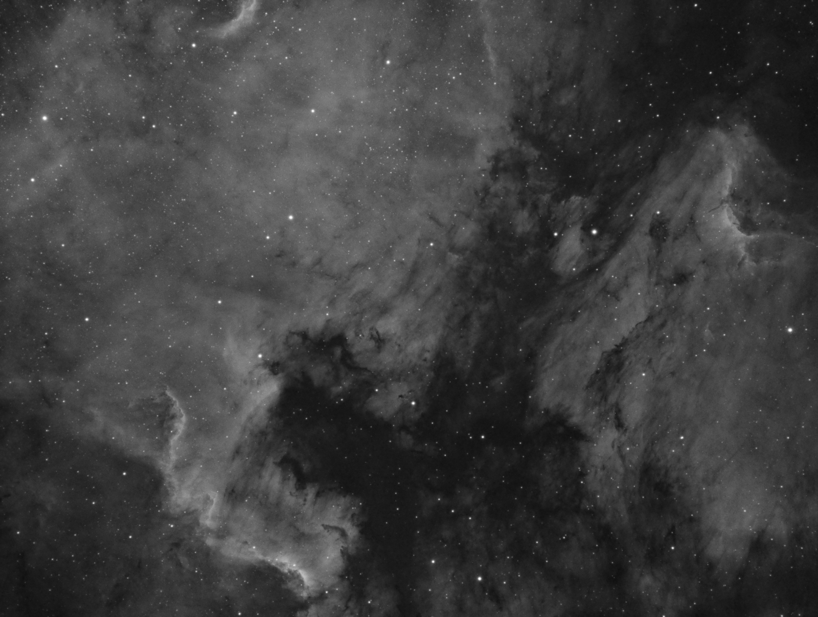 [WIP] NGC7000 North American Nebula and Pelican