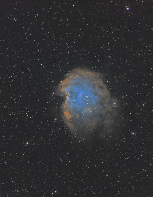 MonkeyHead_NGC-2174-SHO(HST)v2.thumb.png.bccb2cd9de9d4d68977ac05cb0d46115.png
