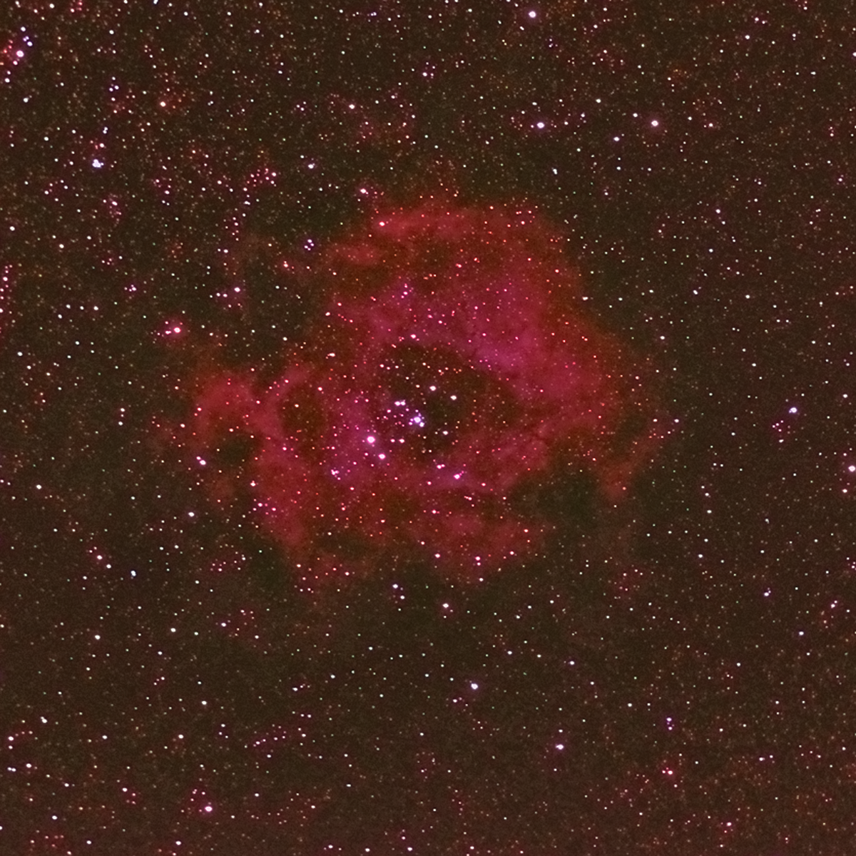 Rosette Nebula NGC2244 best.png