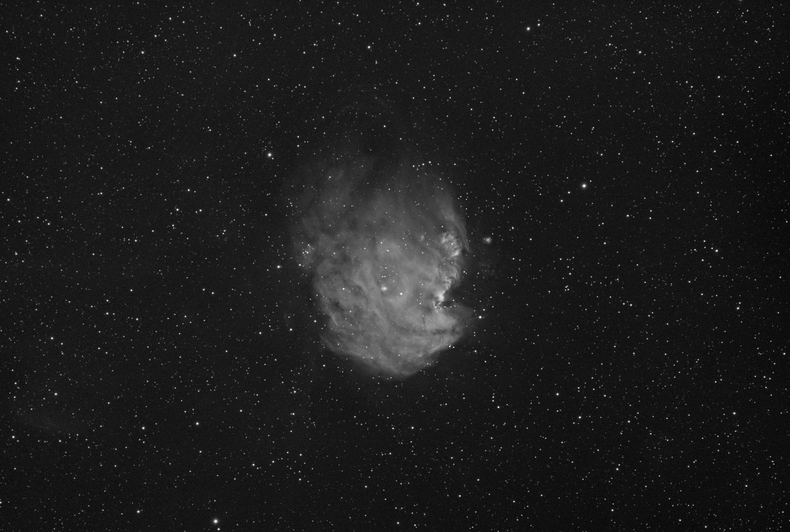 NGC 2174 Monkey Head Nebula in Ha
