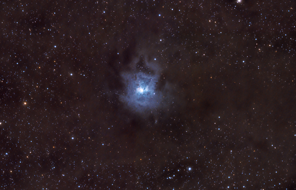 NGC7023.thumb.jpg.c9bf645965d5ccba4d37366318c4dc84.jpg