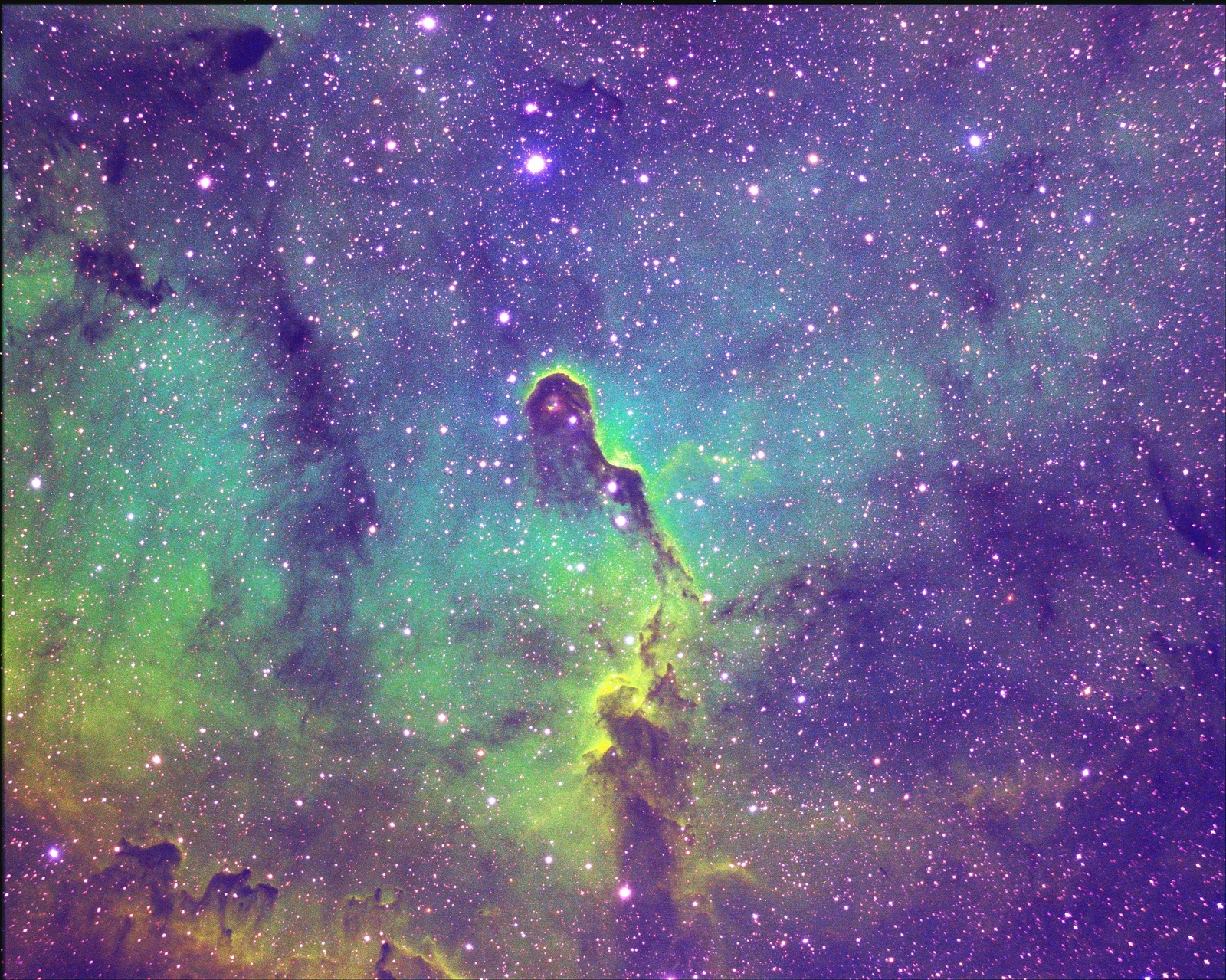 IC1396: The Elephant's Trunk Nebula