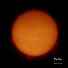 HAlpha Sun disc - 25 Jan 2015