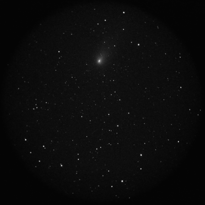 Comet 21P / Giacobini-Zinner. Gif