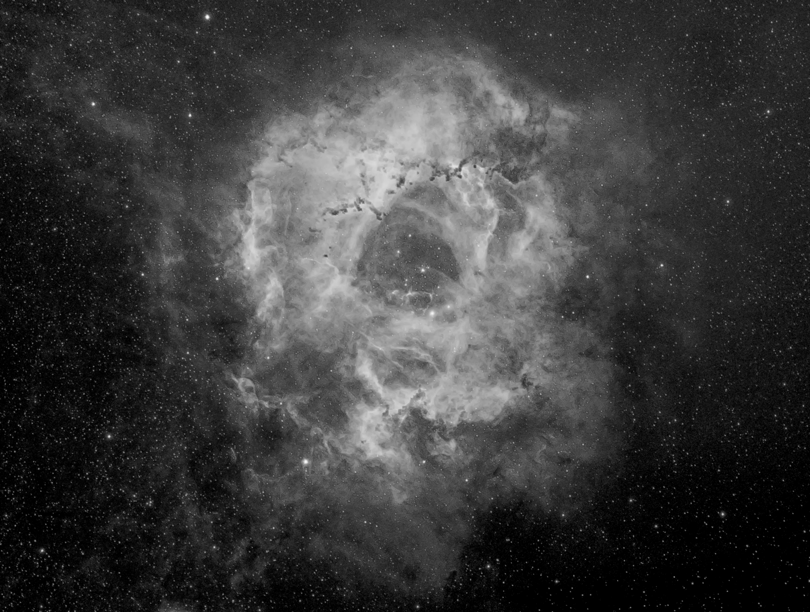 Rosette Nebula - Camera RAW Sharpen.png