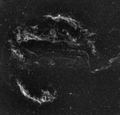 Cygnus Loop Nebula Ha.png