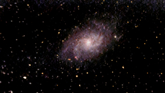 M33 Triangulum Galaxy.jpg