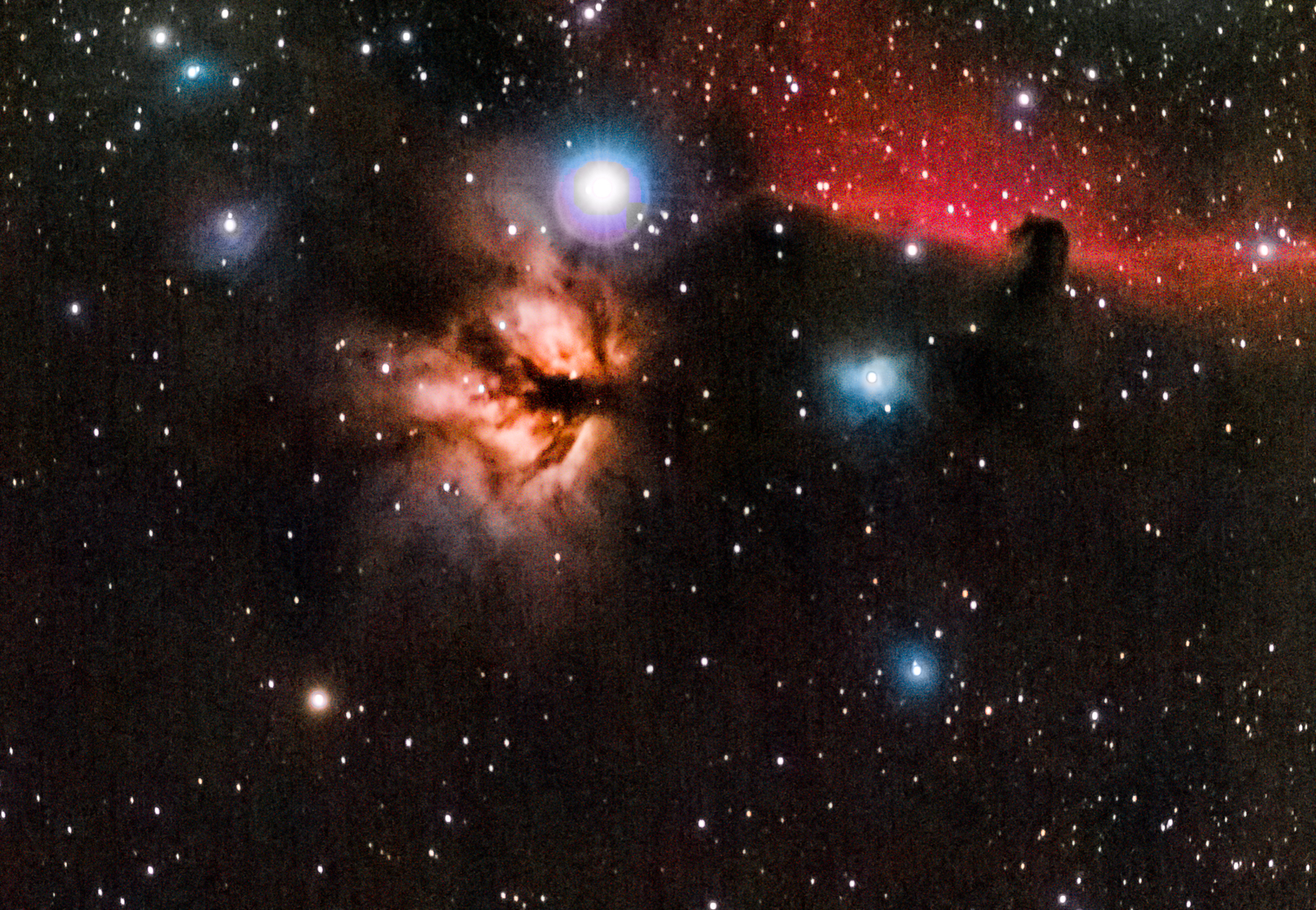 Horsehead Nebula-2.jpg