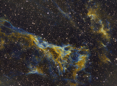 NGC6960_SHO_color adjust.png