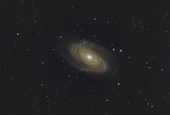 M81 Bodes Galaxy