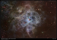 Tarantula Nebula-NGC2070 - SHO OctNov2019