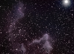 IC63 Phantom Nebula