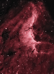 IC5070 Pelican Nebula