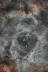 NGC2244_Rosette_Astrobin_WO71.jpg