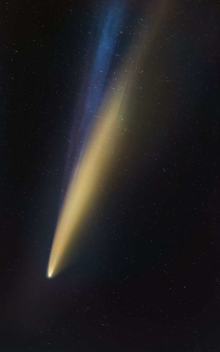 Comet NEOWISE, C/2020 F3 (NEOWISE)
