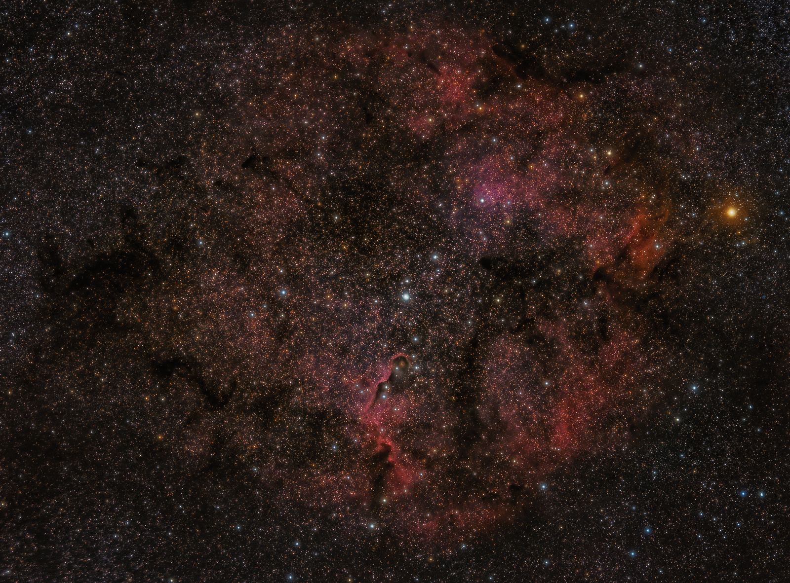 IC 1396 Emission Nebula in Cepheus
