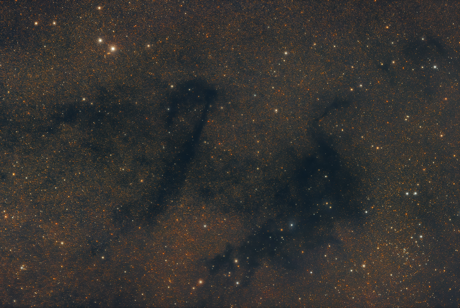 Dark Nebula in Vulpecula
