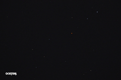 ASTRONOMY - HIND'S CRIMSON STAR 1-31-19 SM.jpg