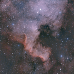 NGC7000_RASA_533_NB-1_23102020.png