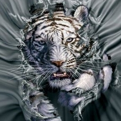 Iced Tiger