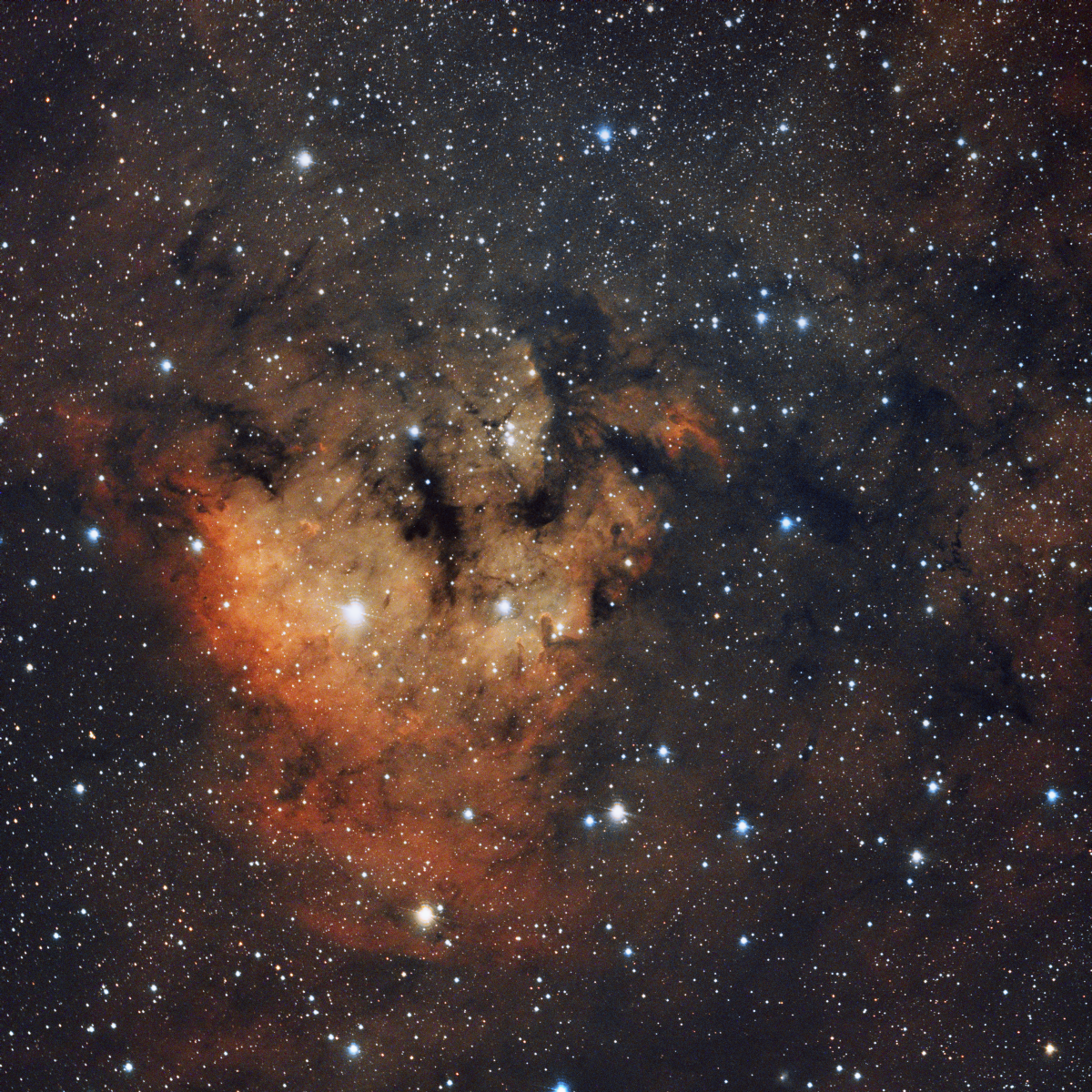 NGC7822_RASA_533_06112020.png