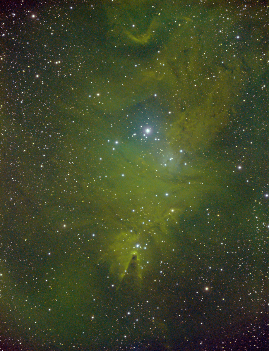 Cone Nebula Narrowband image.jpg