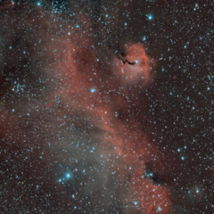 NGC2343_IC2177_RASA.png