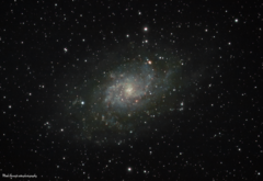 M33_5&6_JAN_COMBINED.png