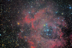 Rosette Nebula. 120 x 15s lights for 30min total exposure. ISO800 with Canon 600D modded.