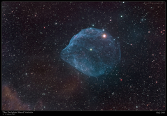 Dolphin Head Nebula (Sh2-308) - 13 March 2022