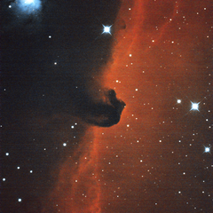 IC434_26022022_RC8-533-NBZ.png