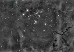 NGC2244-Pt_17032022.png