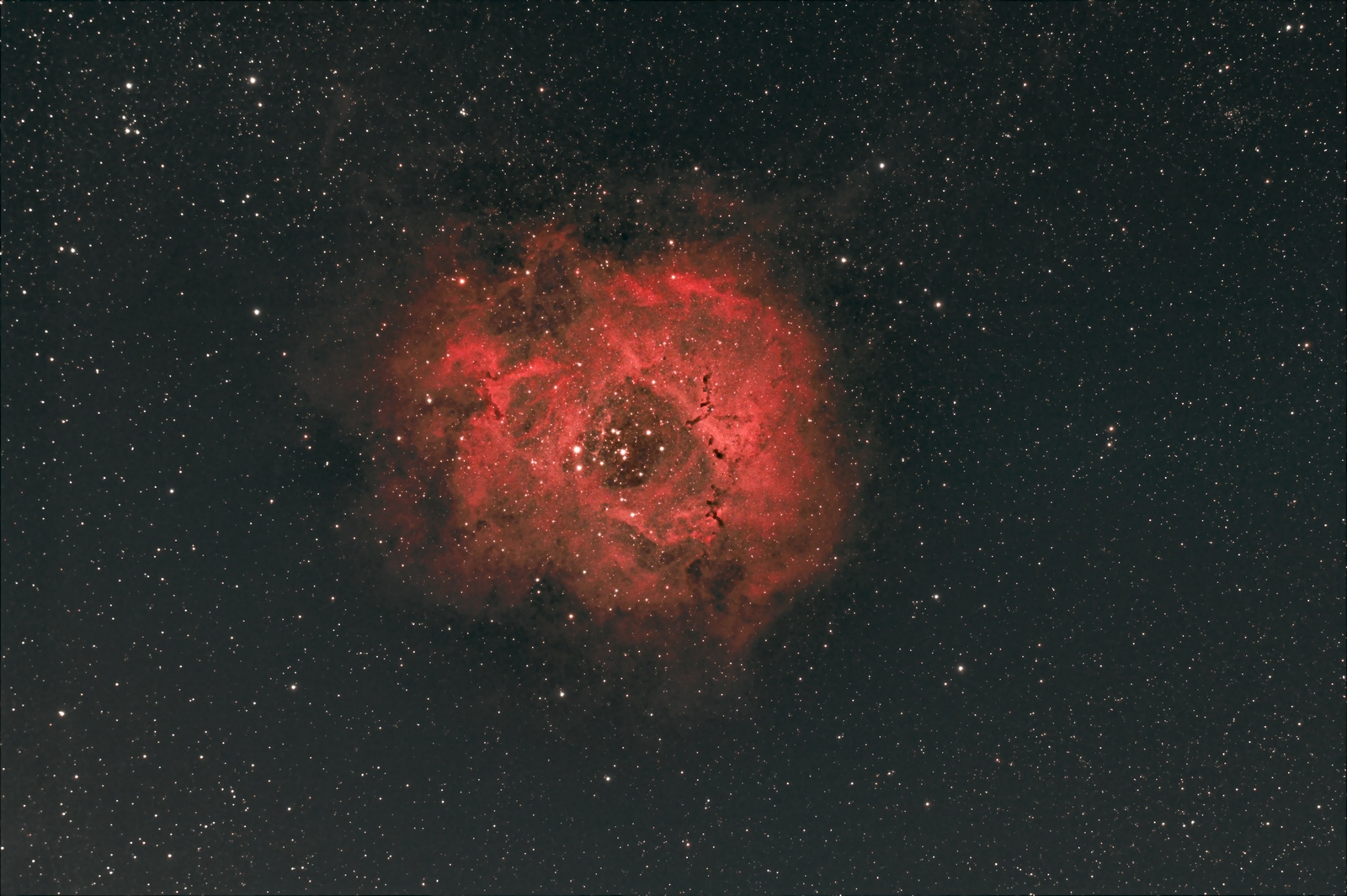 Rosette Nebula DSLR