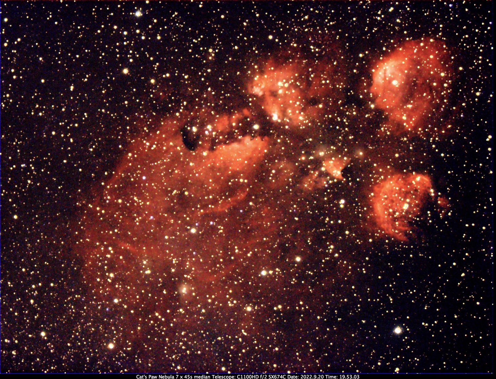 Cat’s Paw Nebula