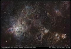Tarantula Nebula - NGC2070 SHO 17-21 Nov 2022