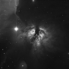 NGC 2024 hA STACKED.png