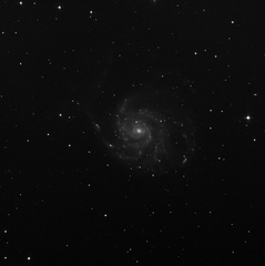 M101 10in LPfltr.png