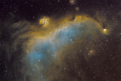 IC2117 - Seagull Nebula