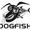 dogfish